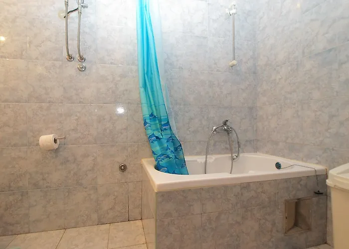 Vladimira 1569 * Pula